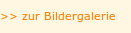 singleimage